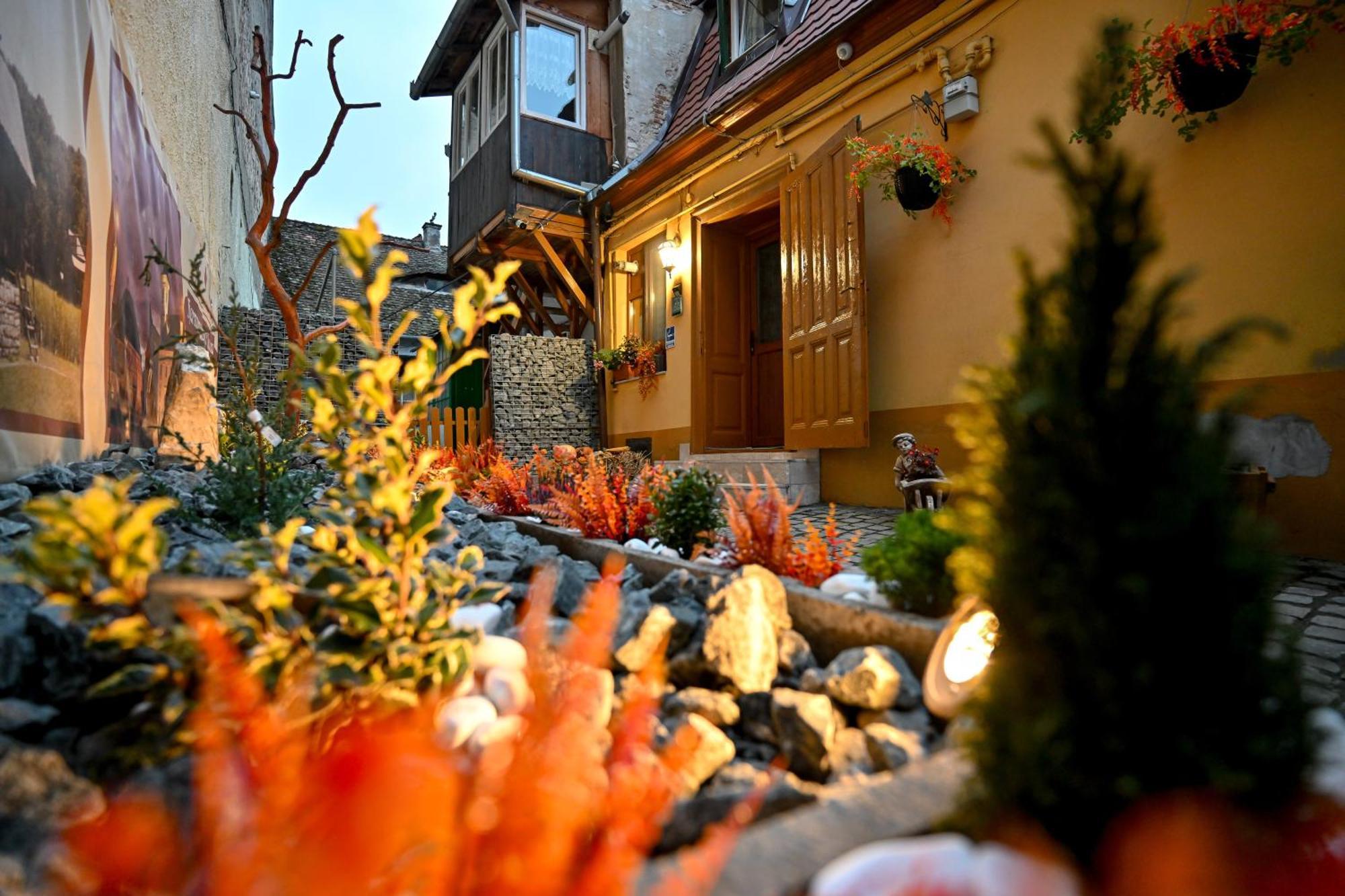 Hermannstadt House 1 エクステリア 写真